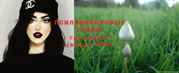 тгк Алзамай
