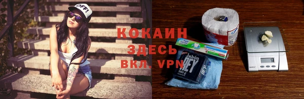 индика Алексеевка