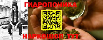 крисы Балаково