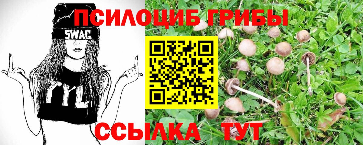 ЭКСТАЗИ  Cocaine  ГАШИШ  Купить закладку  МЕФ кристаллы  MDMA  НБОМе  Каннабис  Березники  Вход с VPN 